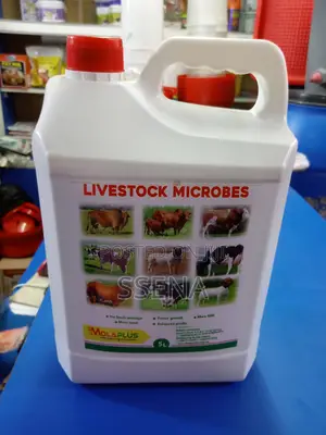 Molaplus Livestock Microbes