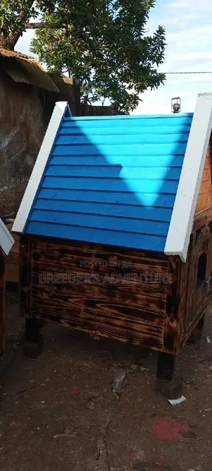 Great Kennel for Dogs