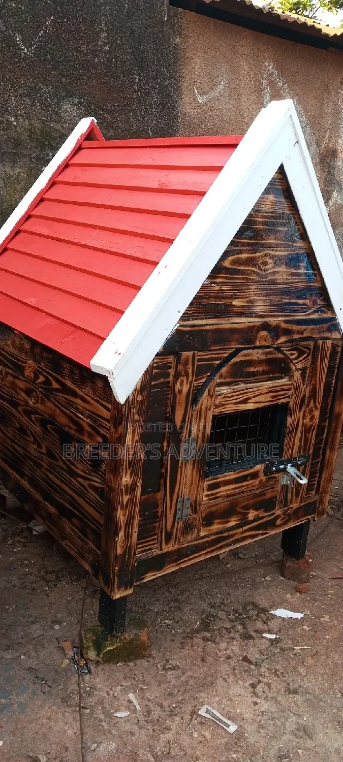Dog Kennel (House)