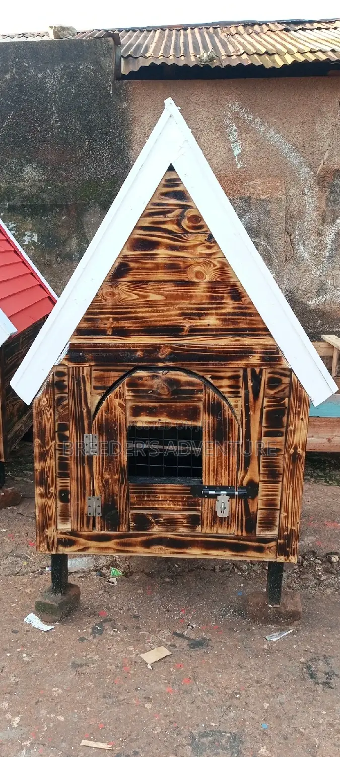Dog Kennel (House)