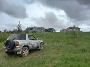 Cute Plots in Kira on Sell