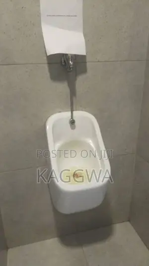 Professional Plumber