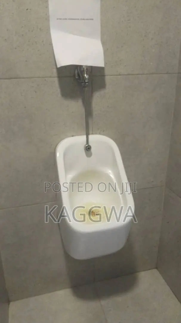Professional Plumber