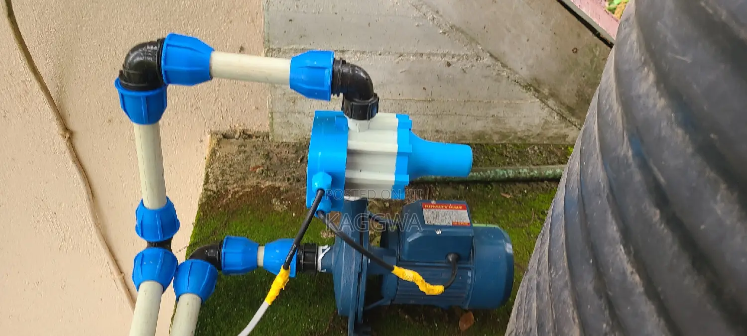 Professional Plumber