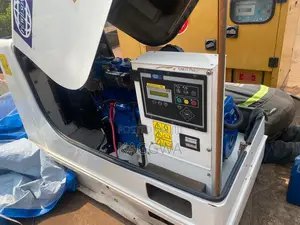 Professional Mechanic