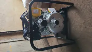 Professional Mechanic