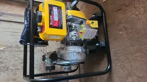 Professional Mechanic