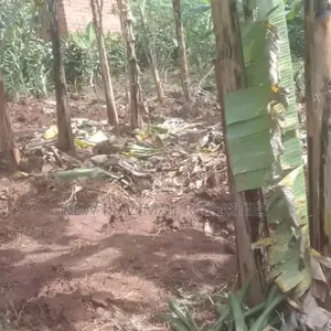 Very Beautiful Plot Ready Private Title Katende Masaka Rd