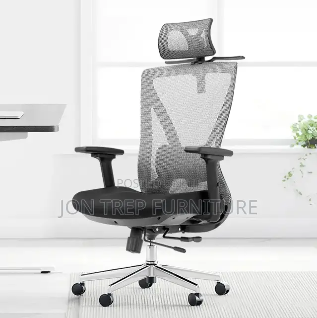 Executive Director Office Chair Mesh
