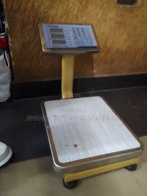 Fair TCS Weigh Scale Stainless Steel Plate Weighing Scales 80kg Weigh