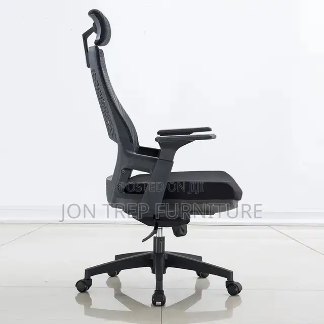 Executive Office Chair