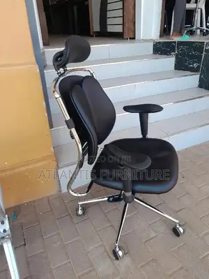 Black Orgonomic Executive Office Chairs