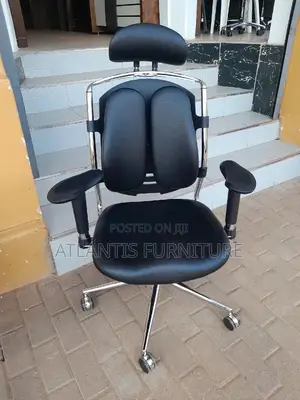 Black Orgonomic Executive Office Chairs