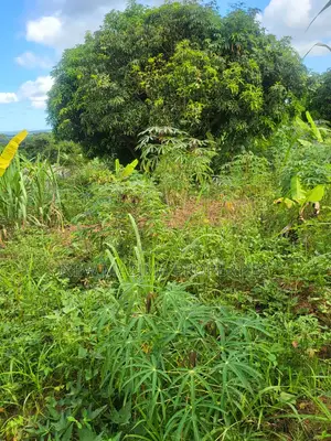 Verybeautiful 100 Ft X 100 Ft With Lake View Onsale Nakawuka