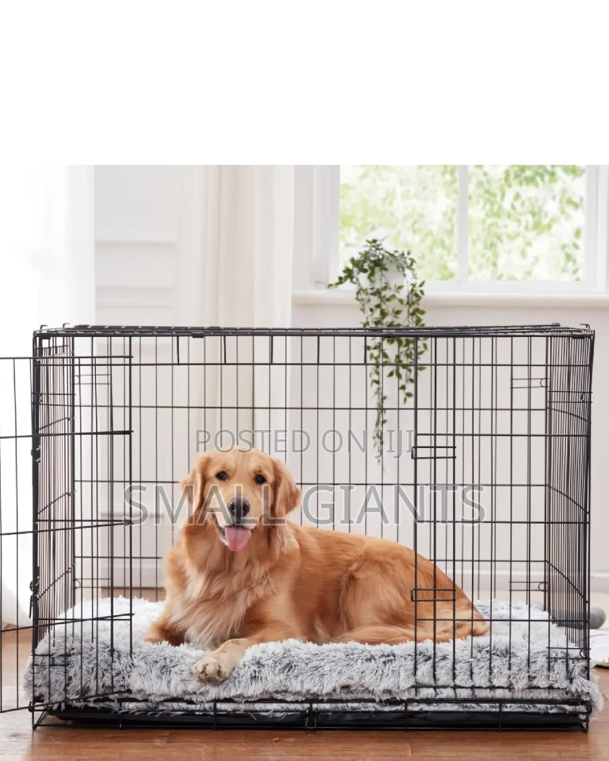 Large Metal Cat and Dog Crate