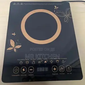 Induction Cooker