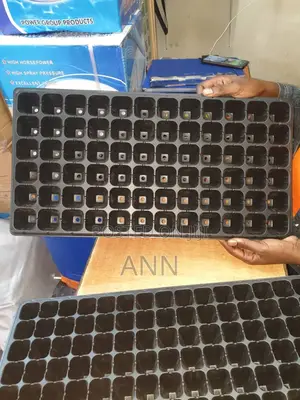 Seeding Trays