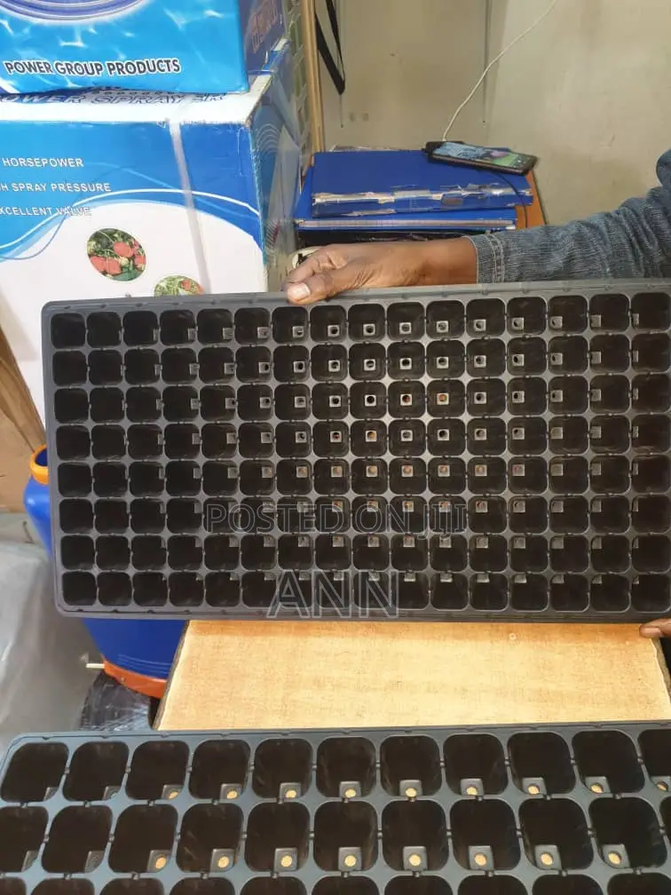 Seeding Trays