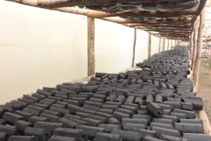 Charcoal Briquettes