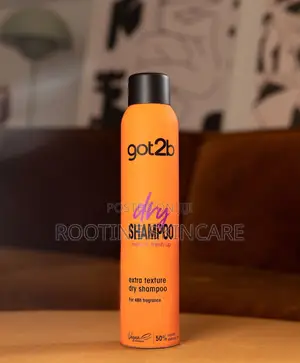 Got2b Dry Shampoo Extra Texture