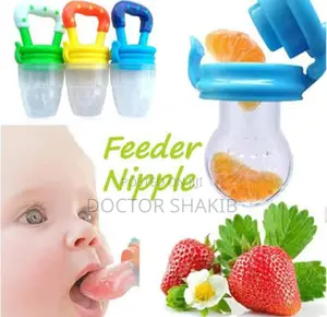 Baby Teething Fruit Feeding Nipple