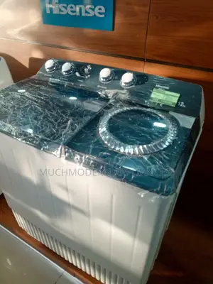 Hisense 12 KG Twin Tub Washing Machine