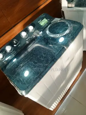 Hisense 12 KG Twin Tub Washing Machine