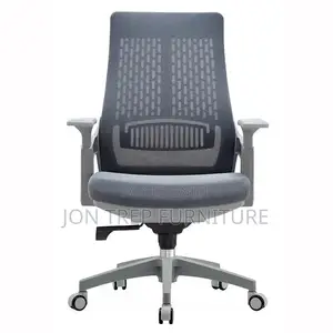 Executive Officer Chair Mesh