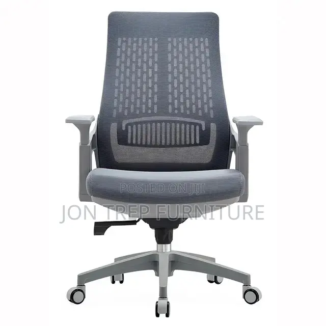 Executive Officer Chair Mesh
