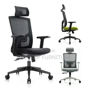 Executive Director Office Chair Mesh
