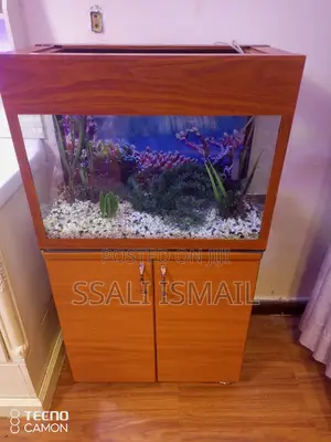 Neat Aquarium in a Brown Color