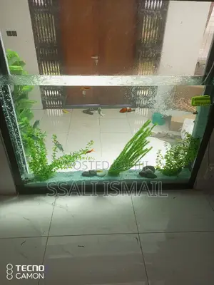 Crystal Clear Water Best Interior