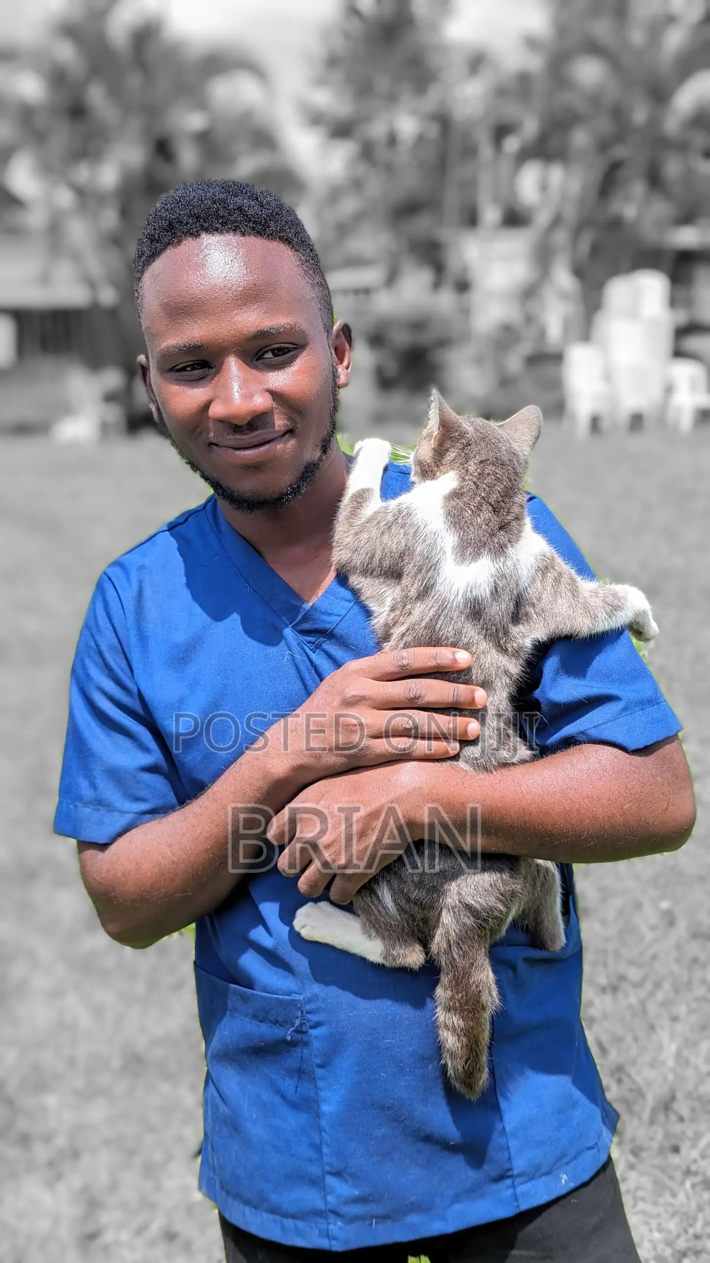 Veterinary Surgeon