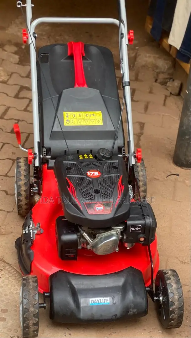 Lawn Mower Petrol Day Life