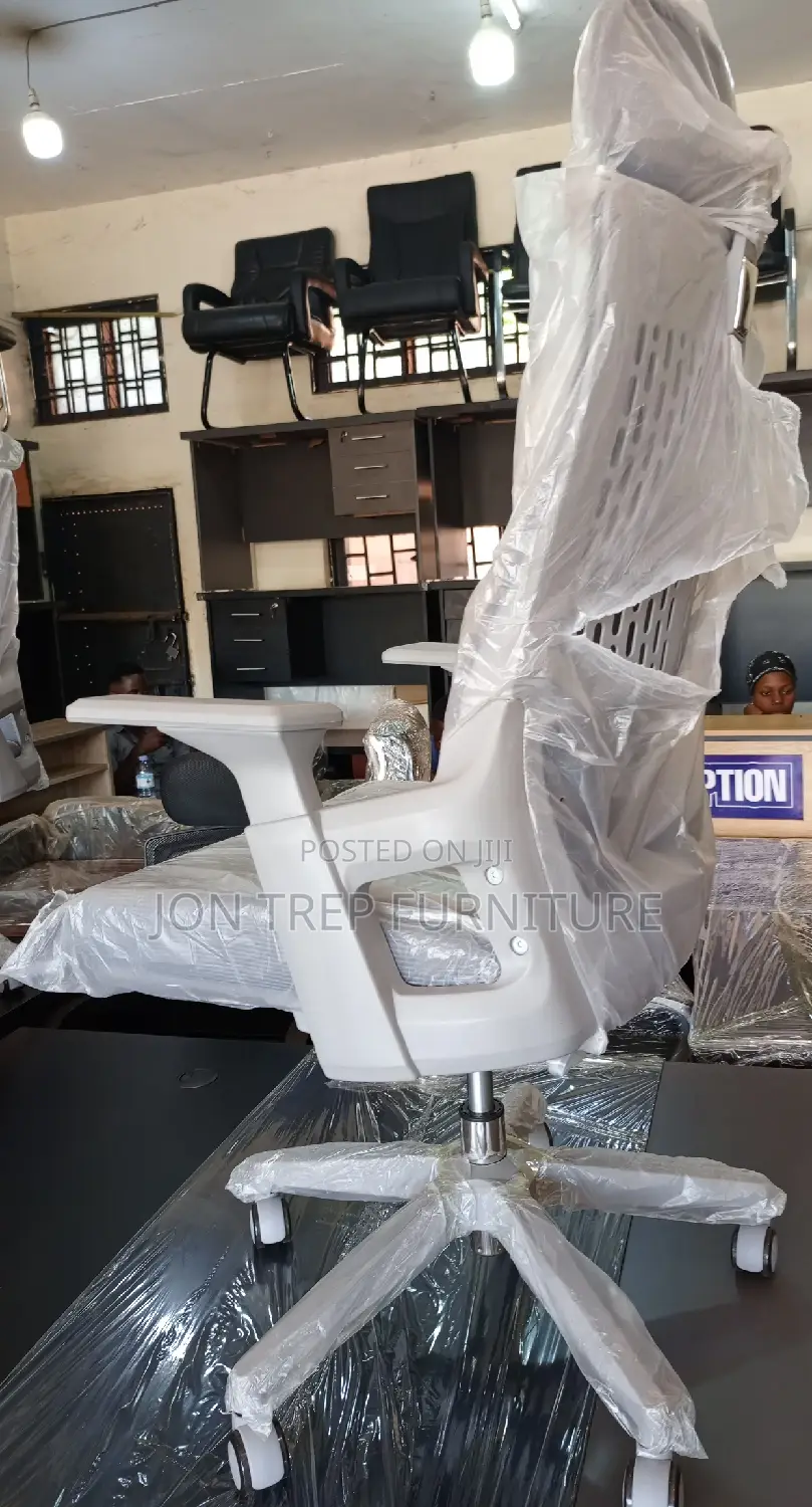 Executive Office Chair Mesh