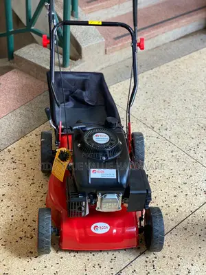 Lawn Mower Edon Brand 5.5 Hp