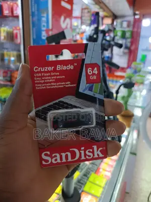 Sandisk Flash Drive