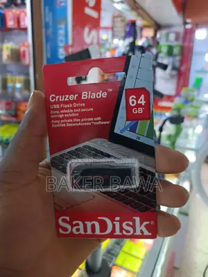 Sandisk Flash Drive