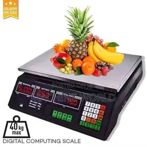 Portable Digital Scale