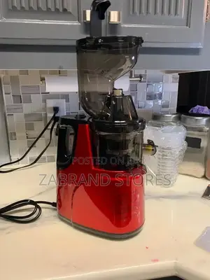 Raf Slow Juicer Machine