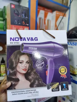 Professional Hair Dryer/High Power Hair Dryer/Hair Dryer