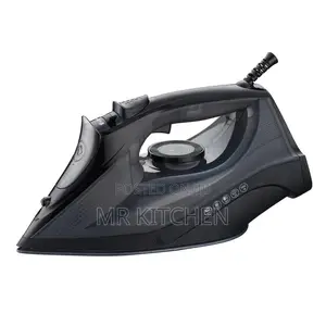 DSP Steam Flat Iron