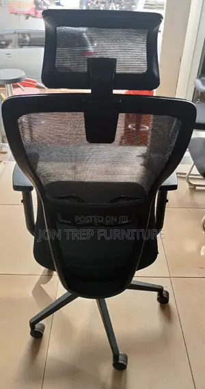 Executive Office Chair Mesh
