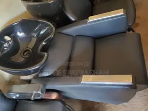 Head Wash Sink Executive