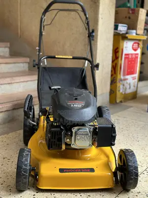Gasoline Push Lawnmower Phoccenne
