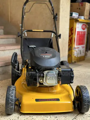 Gasoline Push Lawnmower Phoccenne