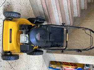 Gasoline Push Lawnmower Phoccenne