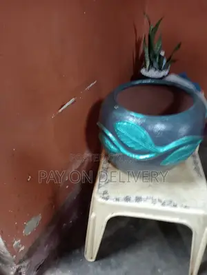 House Flower Pots
