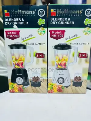 2 in 1 Blender and Dry Grinder