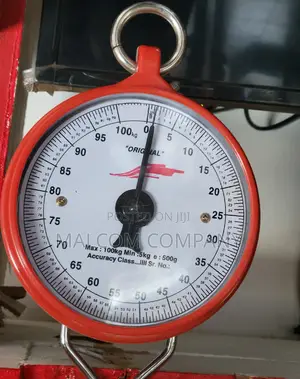Hanging Weighing Scale 100kg( Spring Balance)